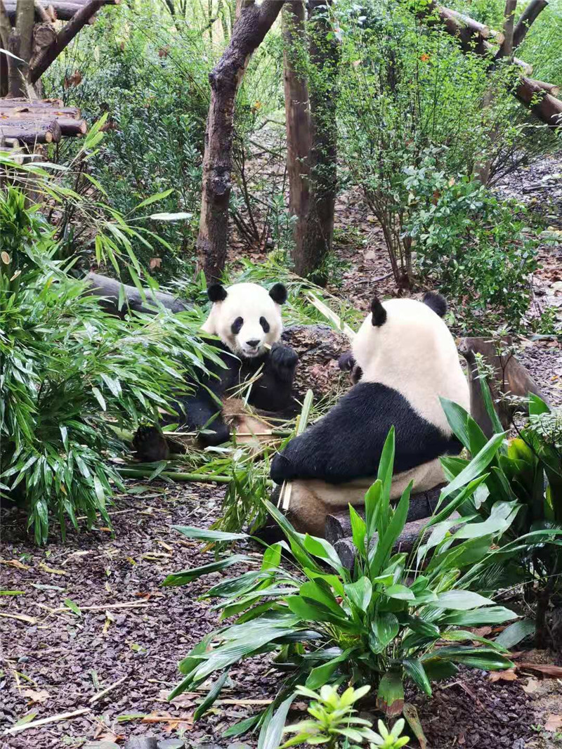 社員旅行